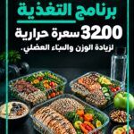 غلاف جدول غذائي 3200 سعرة